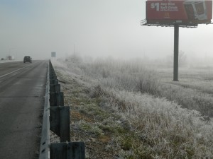DSCN2491